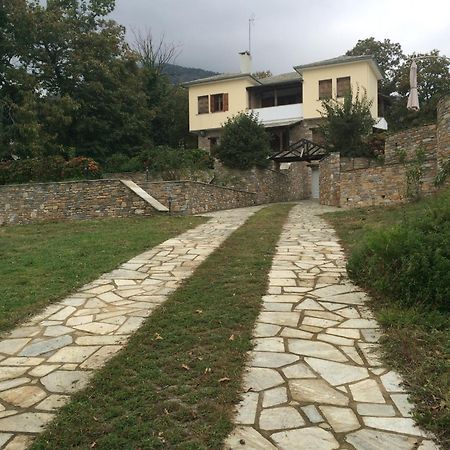 Luxury Villa With Pool In Tsagarada Luaran gambar