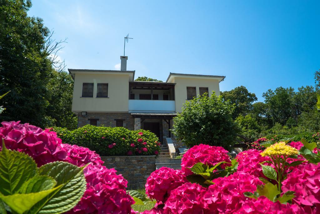 Luxury Villa With Pool In Tsagarada Luaran gambar